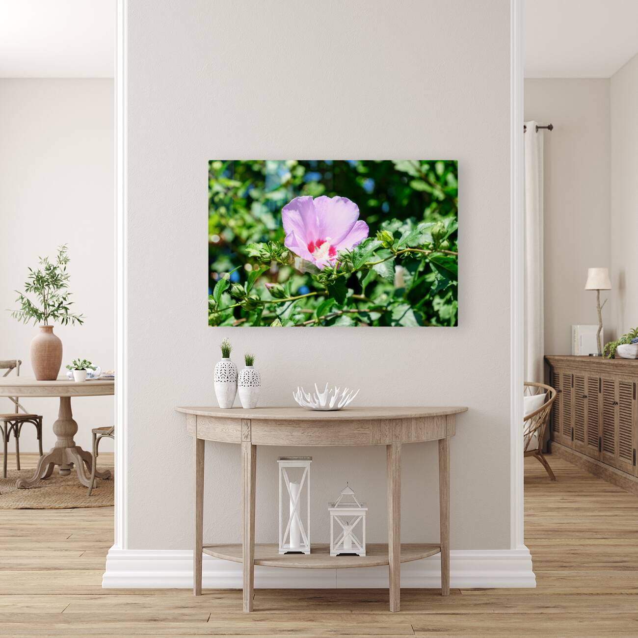 A Hibiscus Glimpse into Nature’s Heartbeat Reproduction