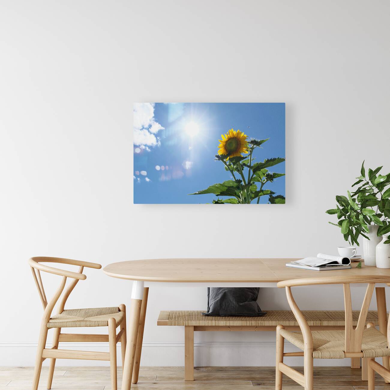 Skyward Confession: A Sunflower’s Secret Reproduction