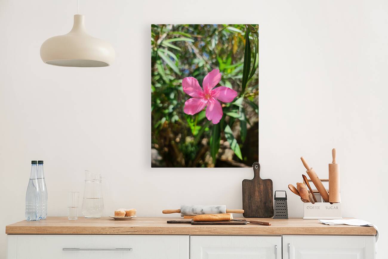 Sun-Kissed Solitude Reproduction