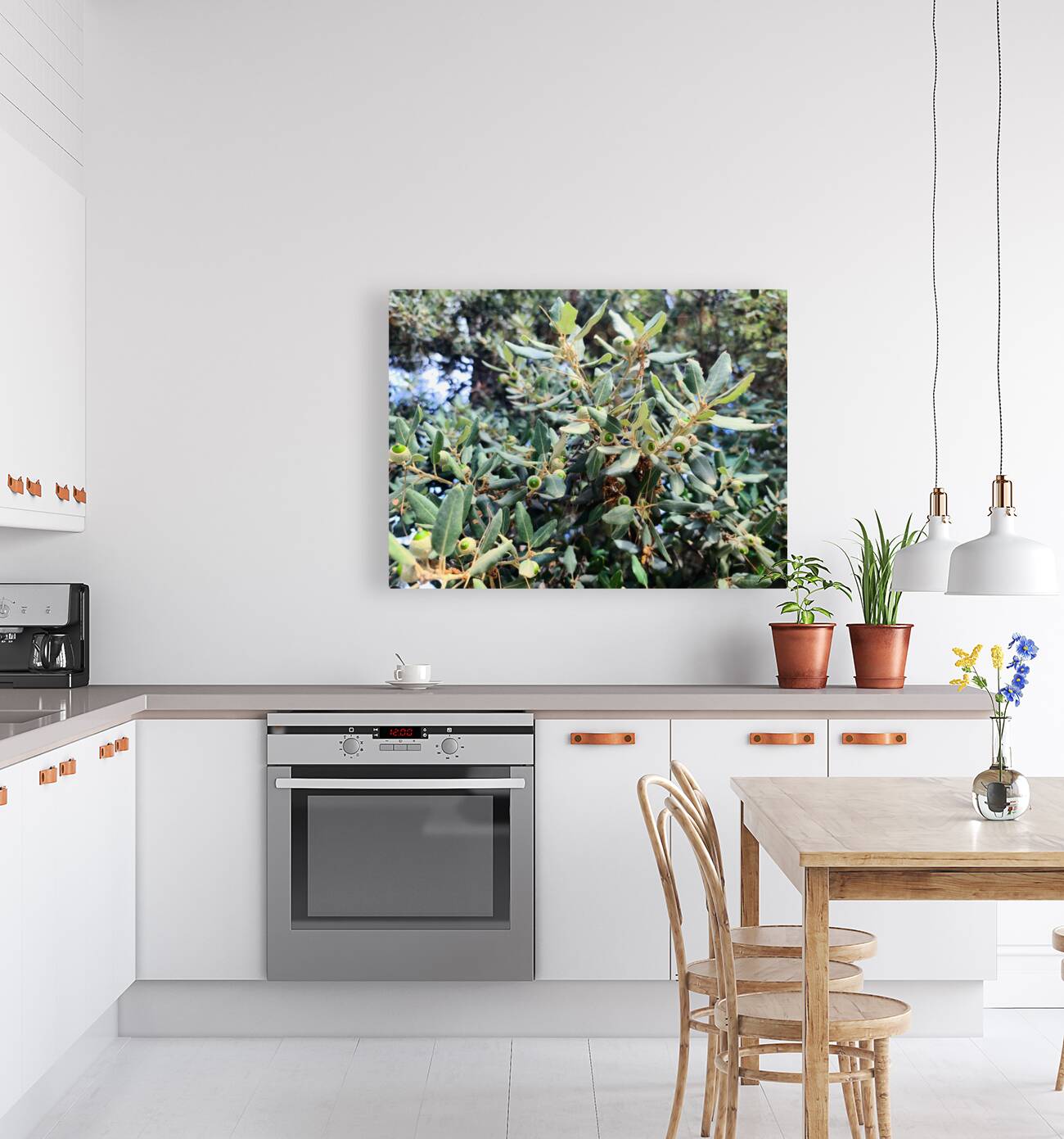 Acorn Awakening Reproduction