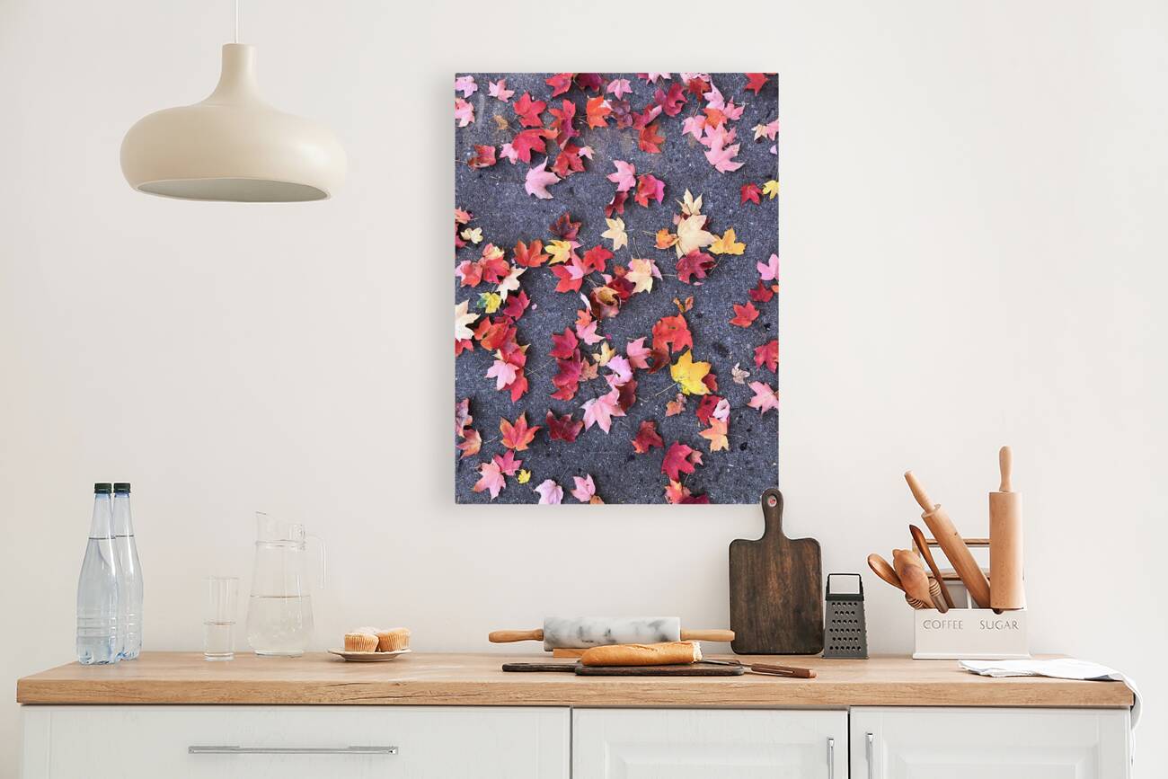 Grounded in Colors 1B Reproduction