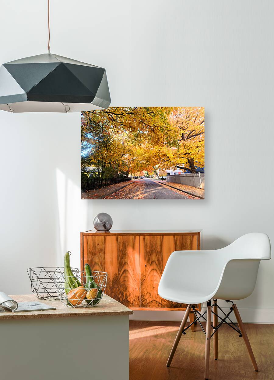 Fall Over the Road Reproduction