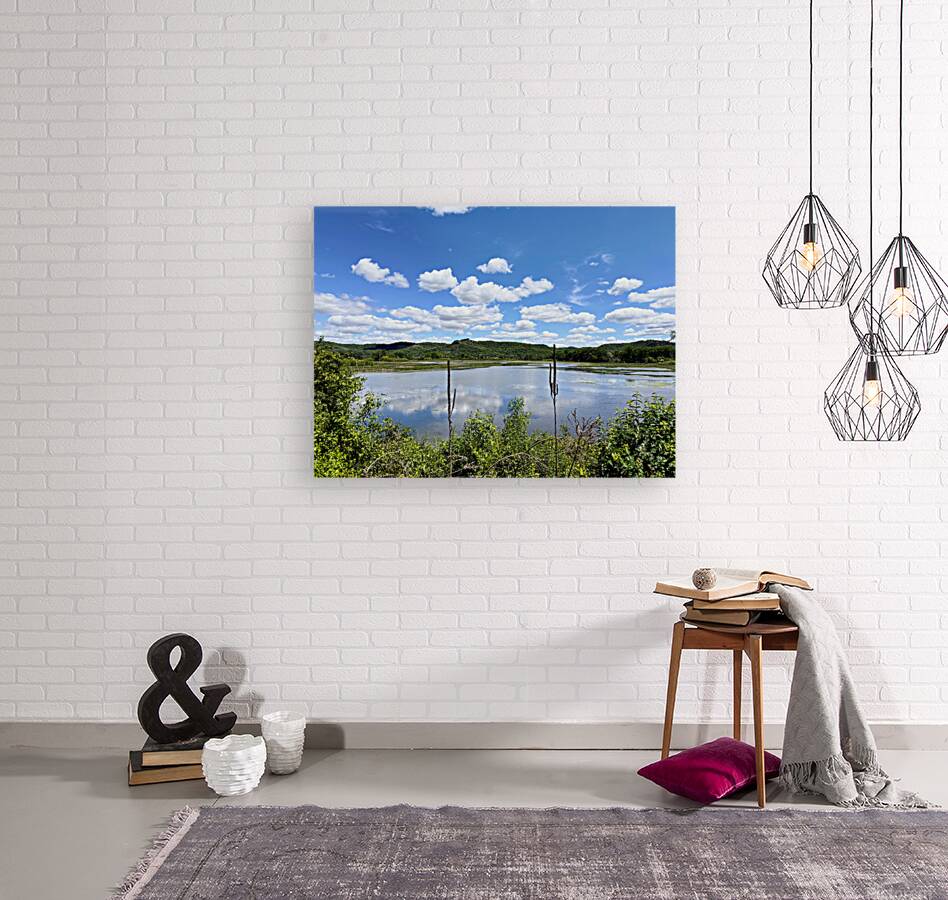 Into the Wild Blue Reproduction