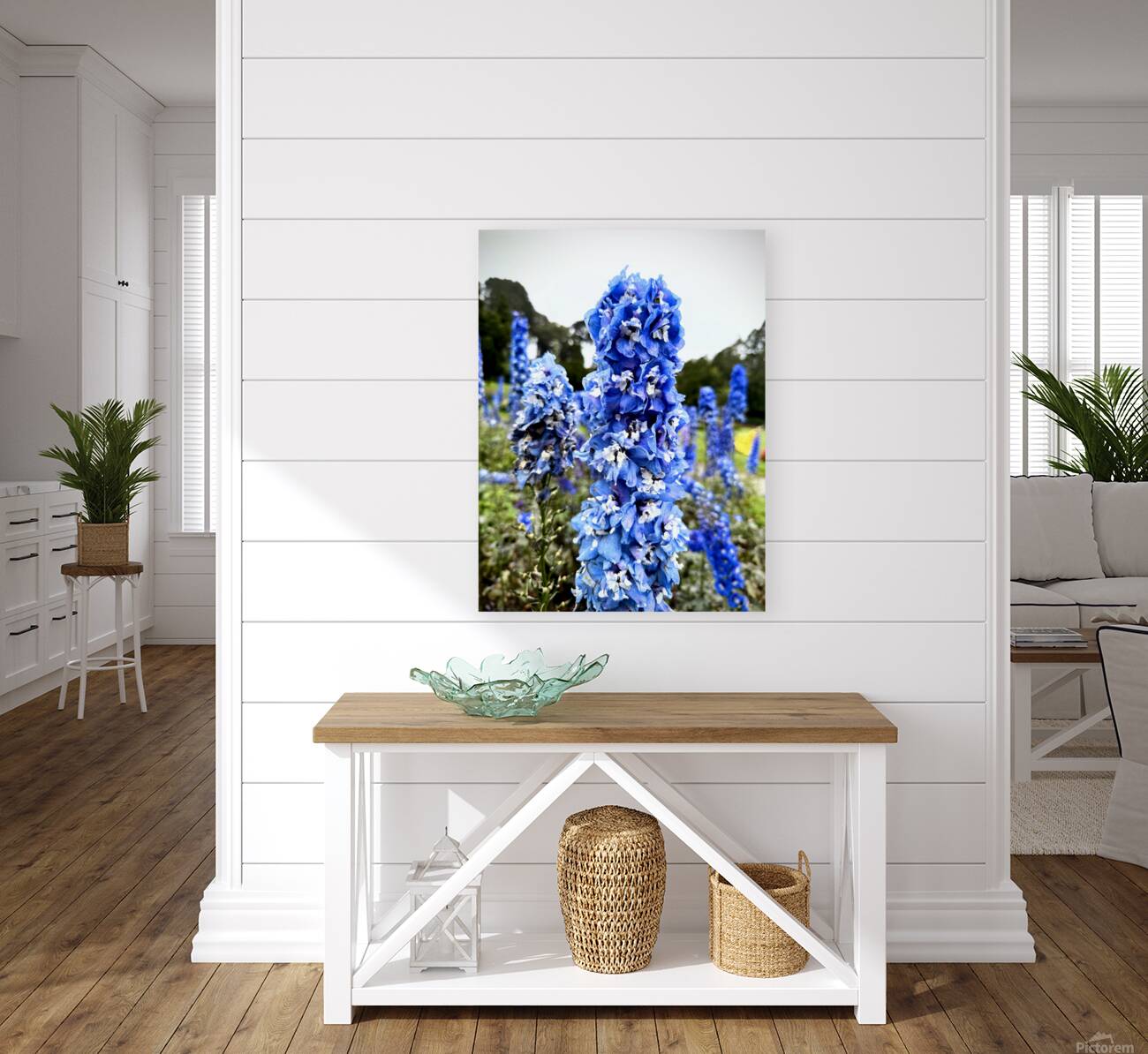 Blue Spire in Bloomstorm: Larkspur Reproduction