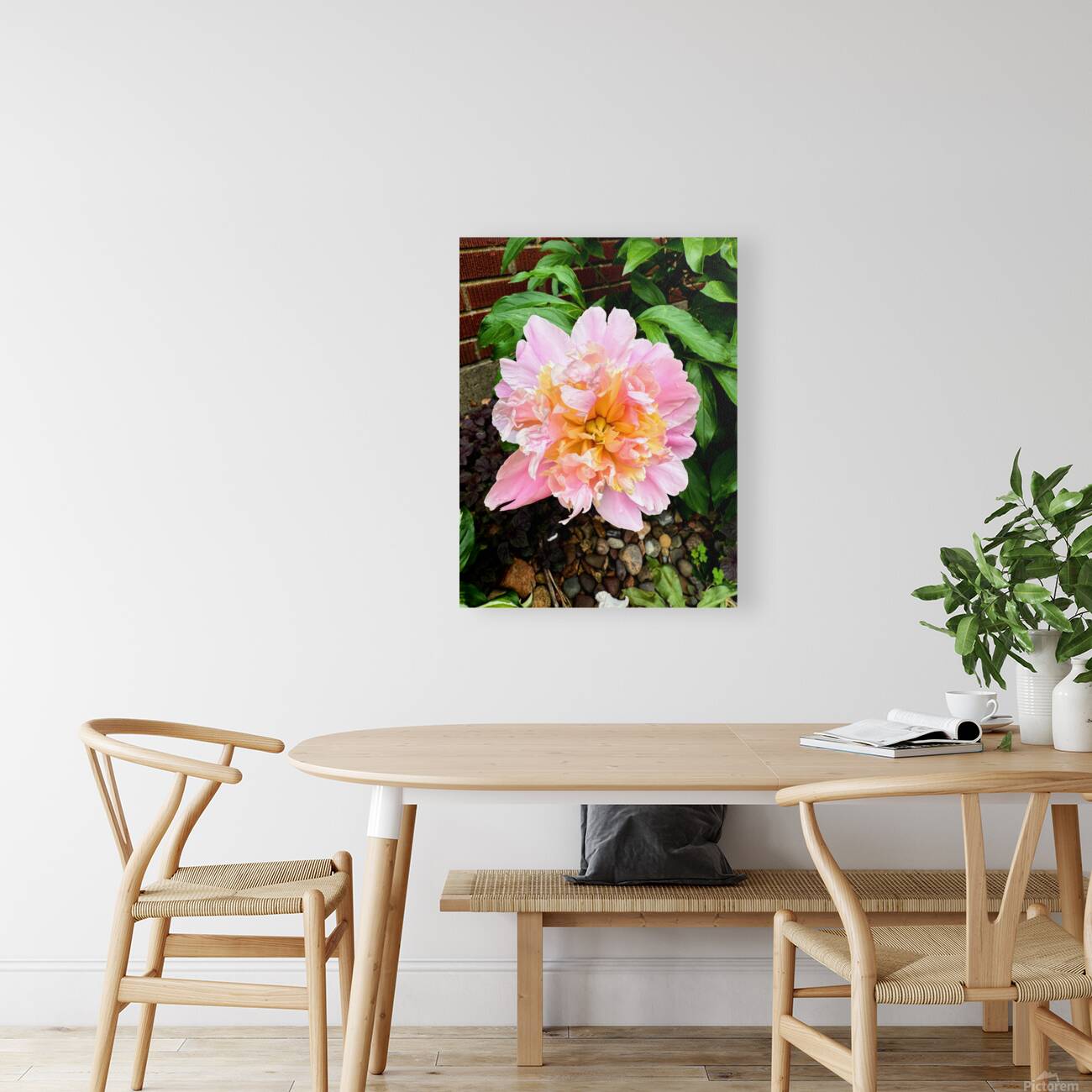 Raspberry Sundae: The Painter’s Peony Reproduction