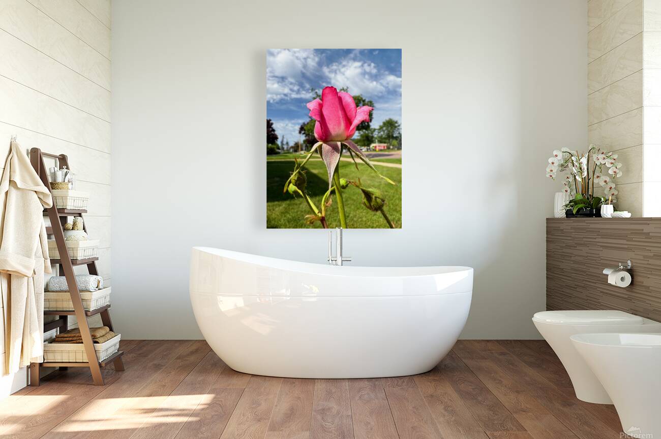 Unspoken Flame of the Garden’s Soul Reproduction