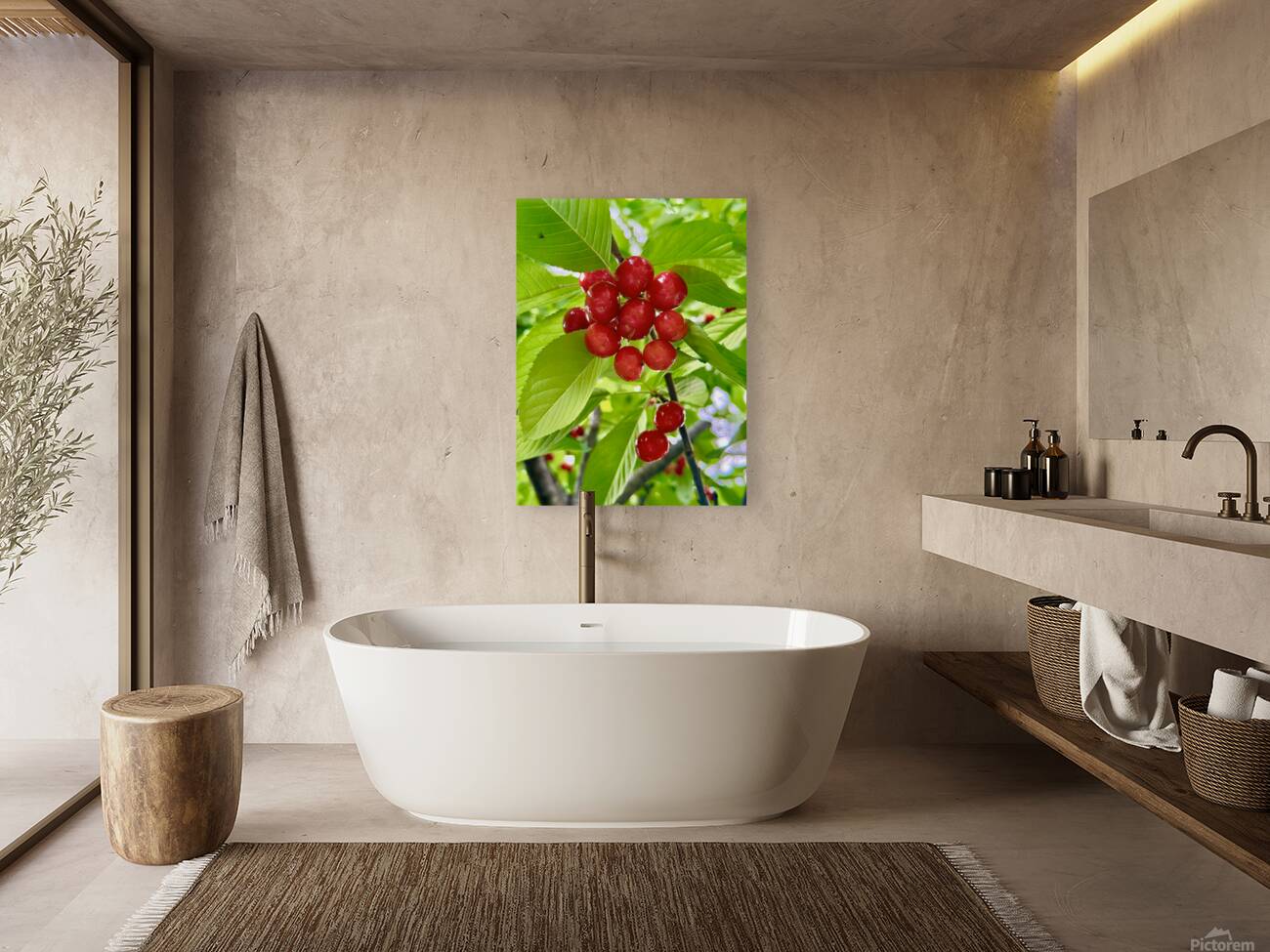 The Cherry Covenant: Nature’s Silent Promise Reproduction