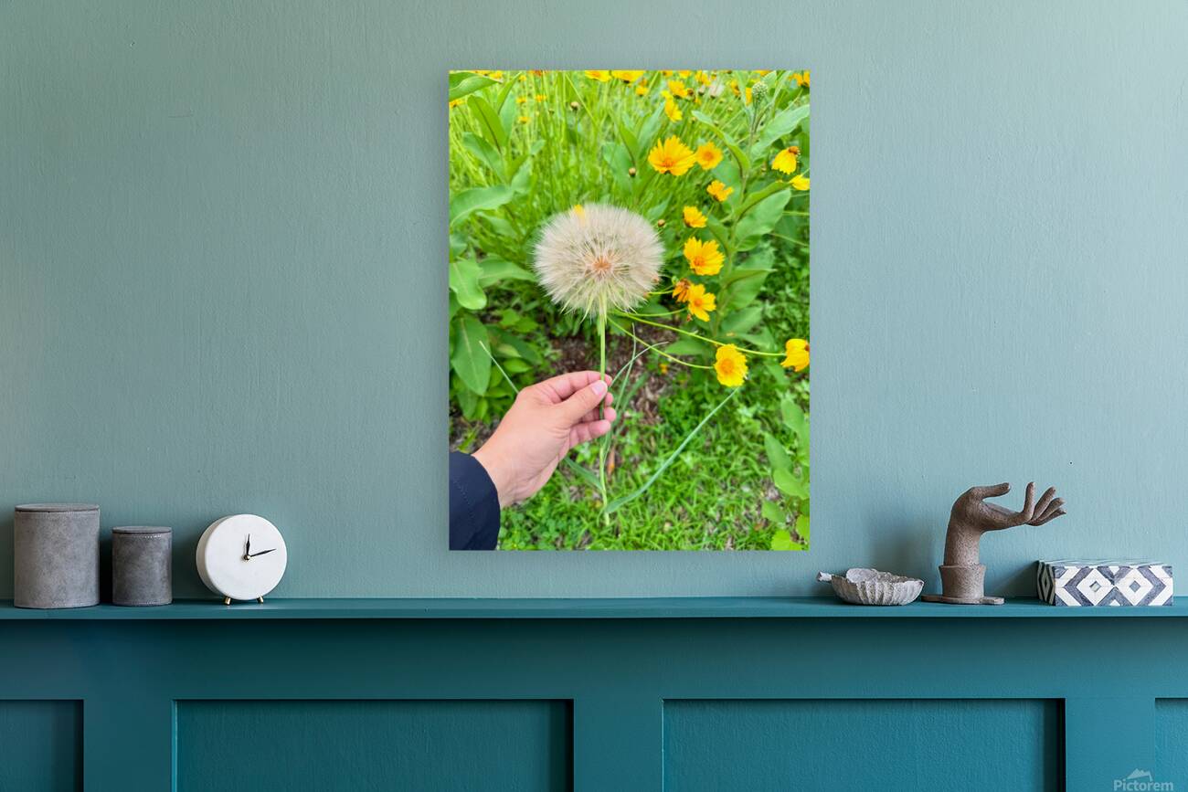 Cartography of a Wish Reproduction