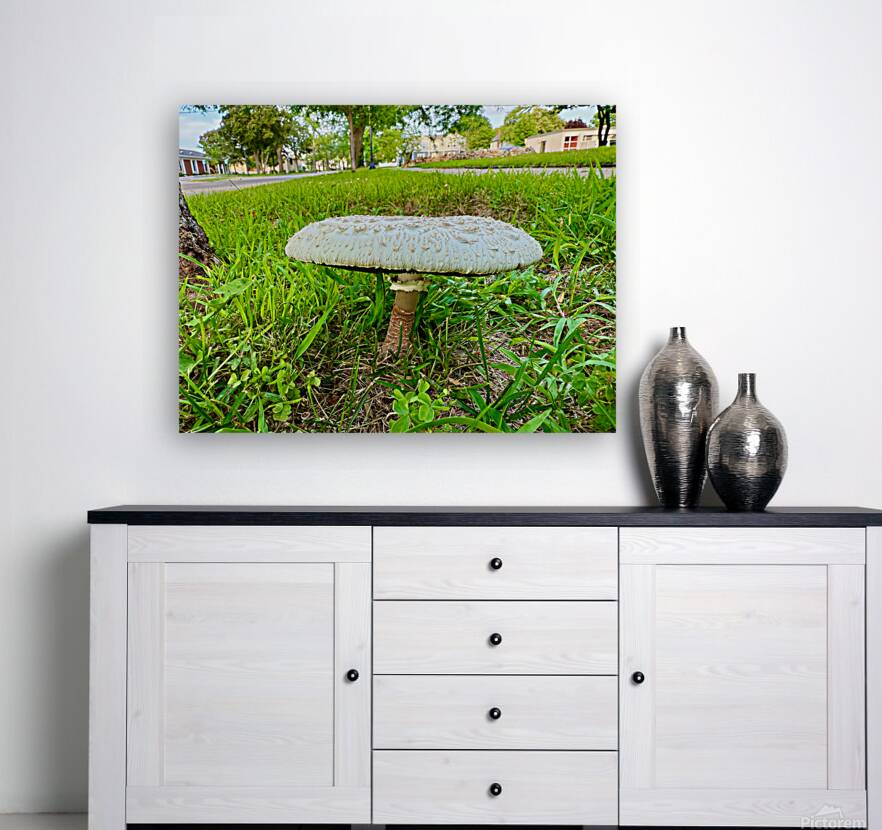 Capstone of the Lawn Reproduction