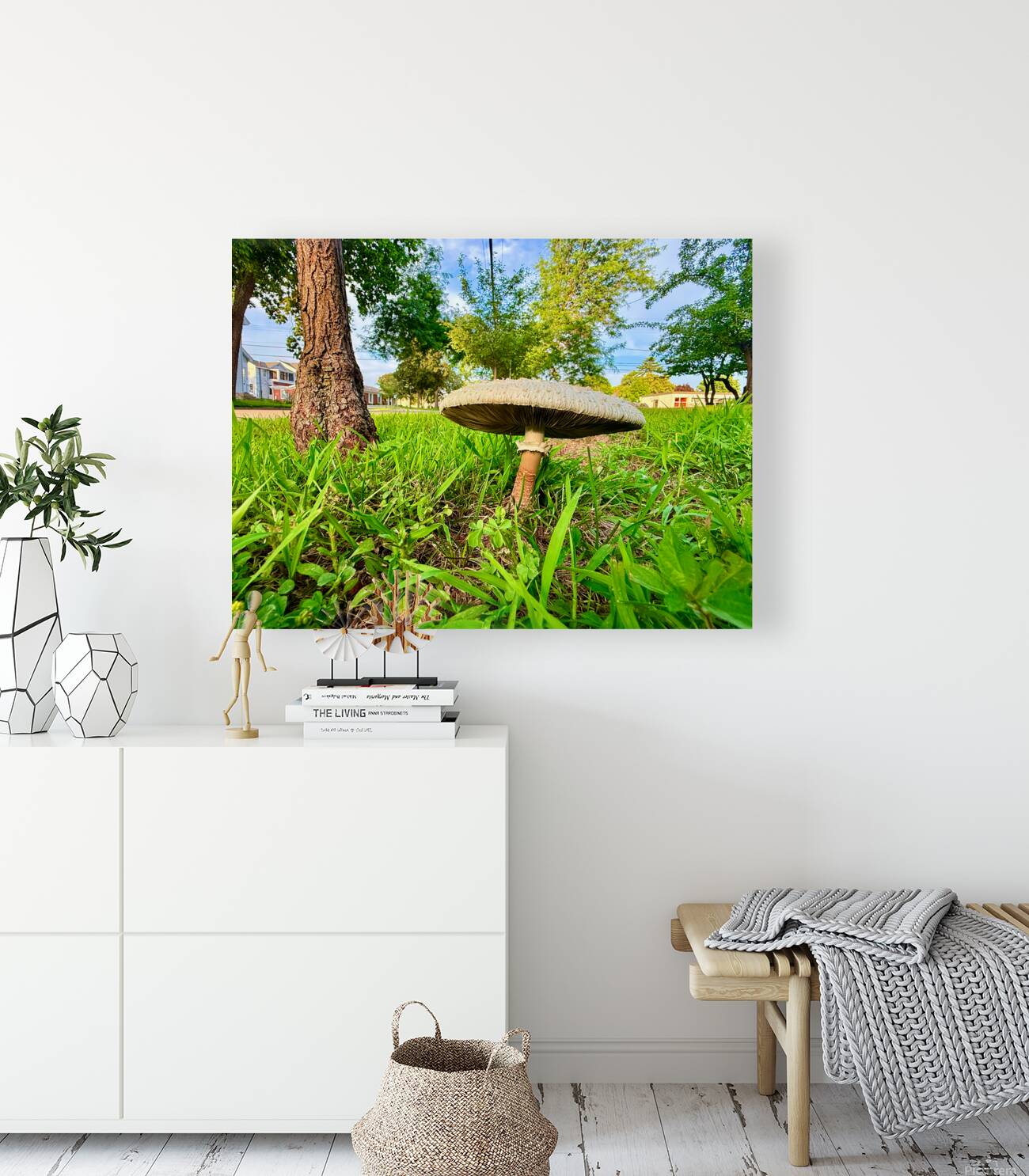 The Lone Umbrella of Morning Light Reproduction