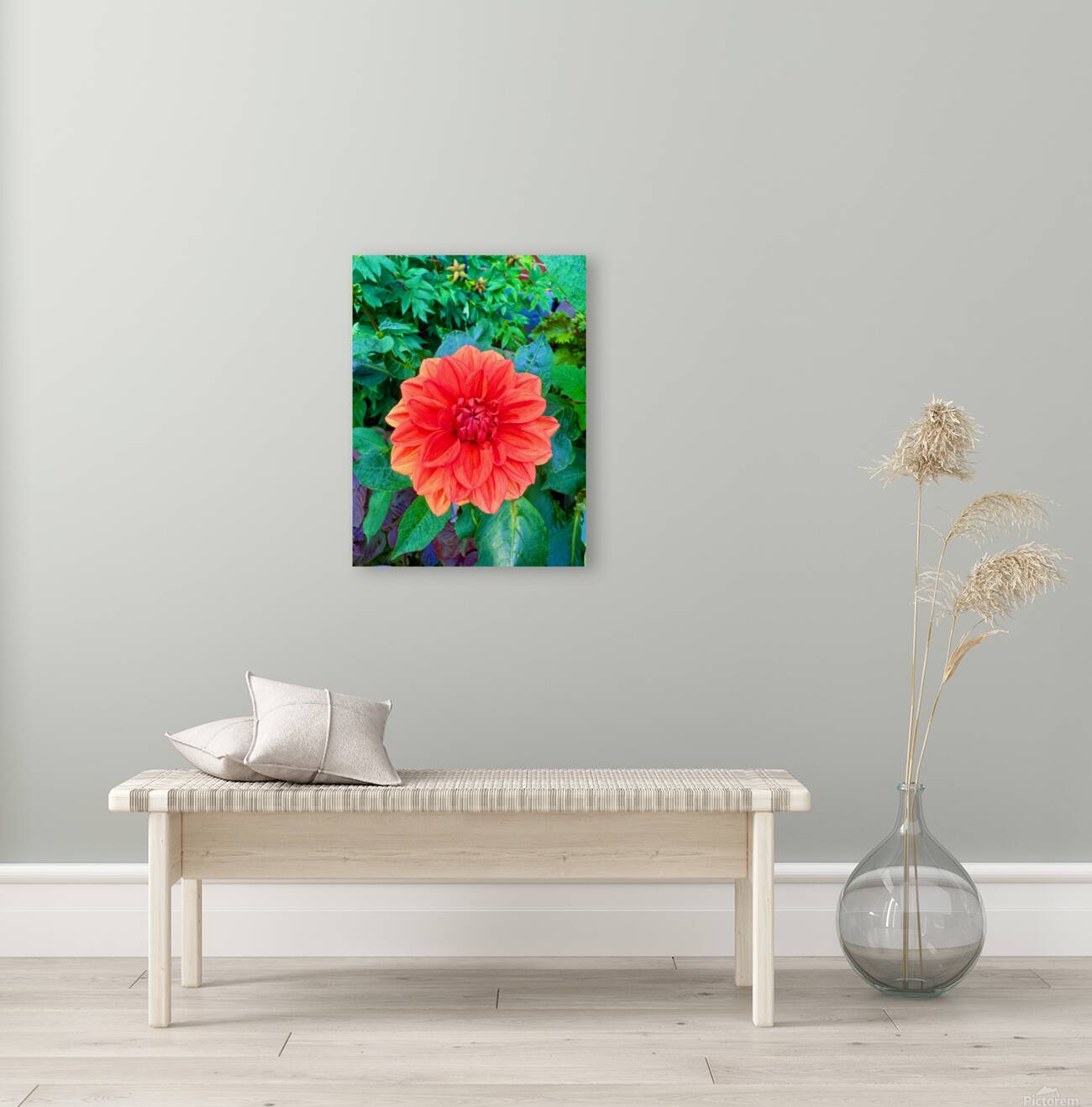 Dahlia Inferna: The Flame That Blossoms Reproduction