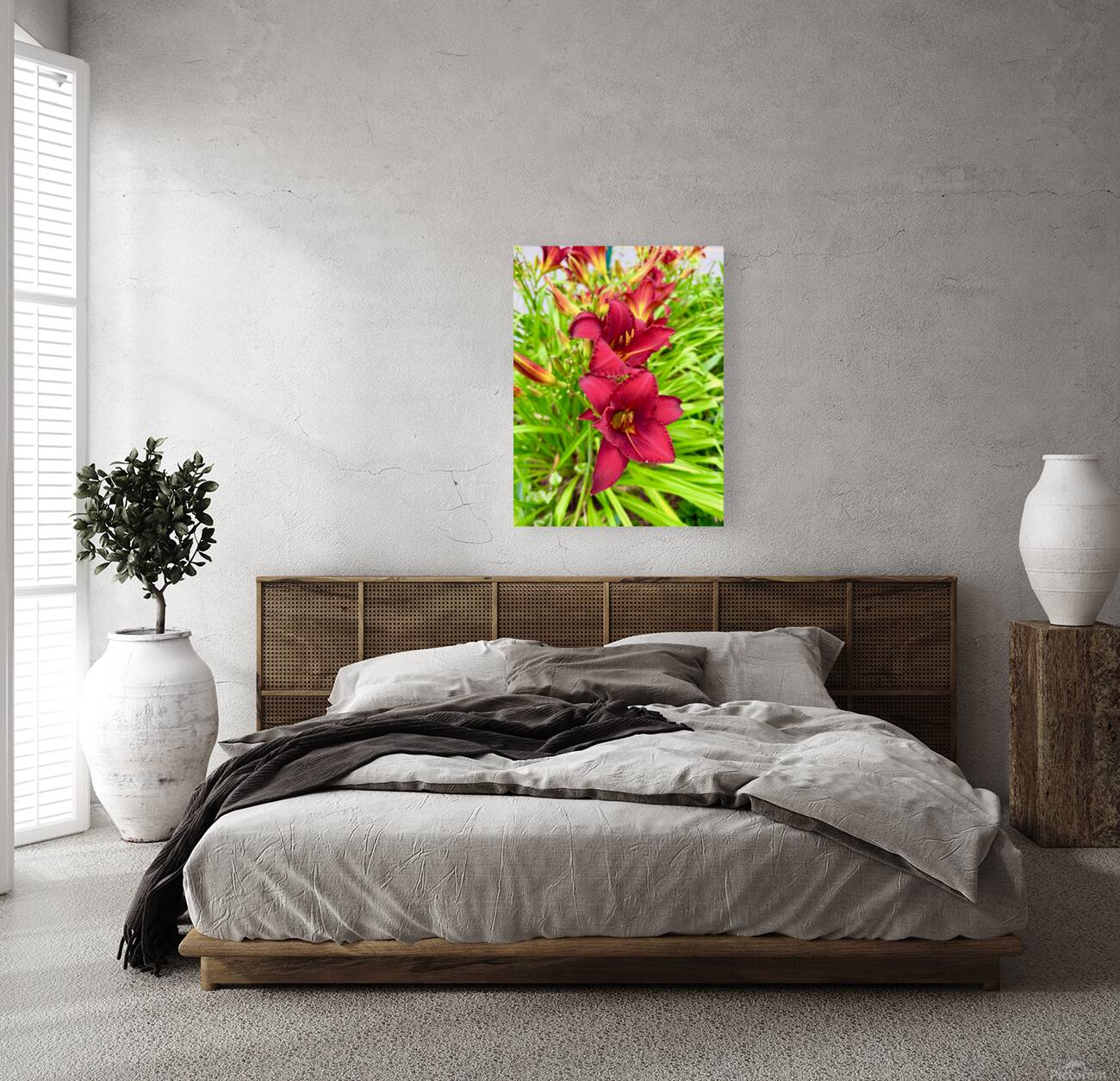 Scarlet Radiance Reproduction