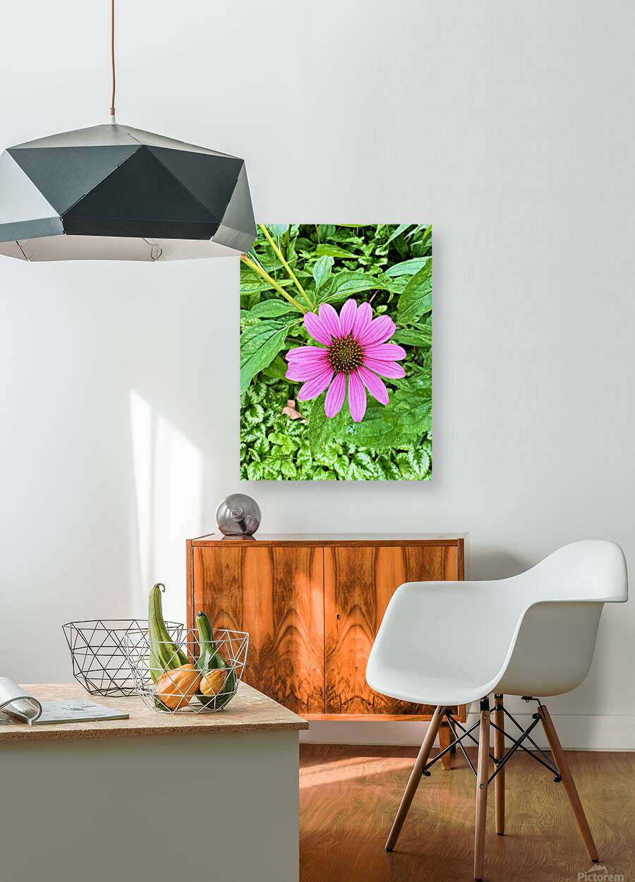 Heart of Summer Reproduction