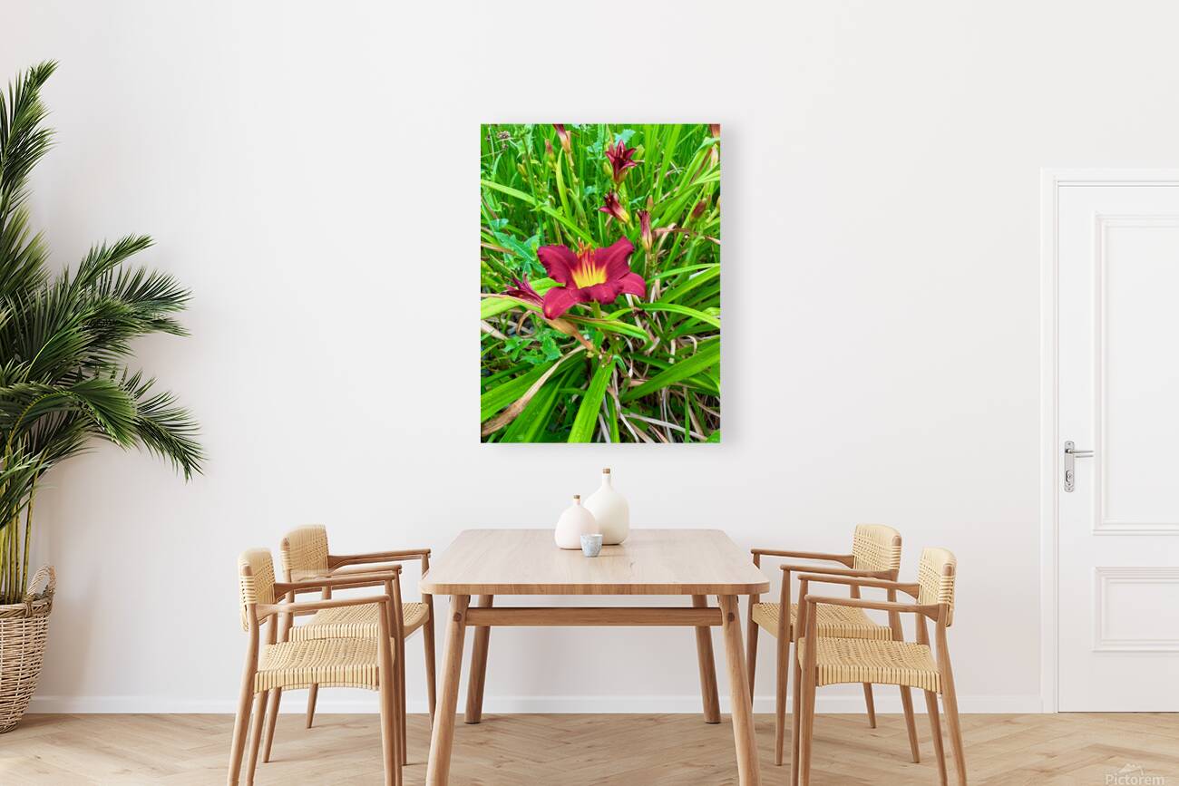 Burgundy Muse Reproduction