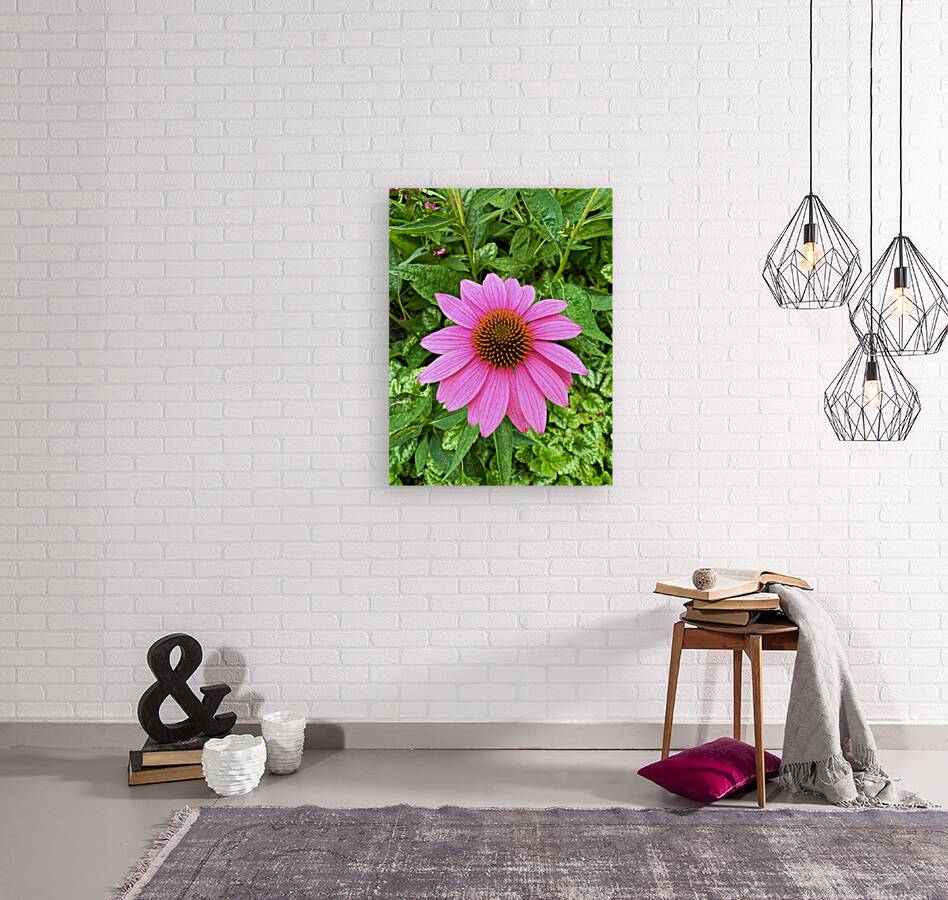 Pink Serenity Reproduction