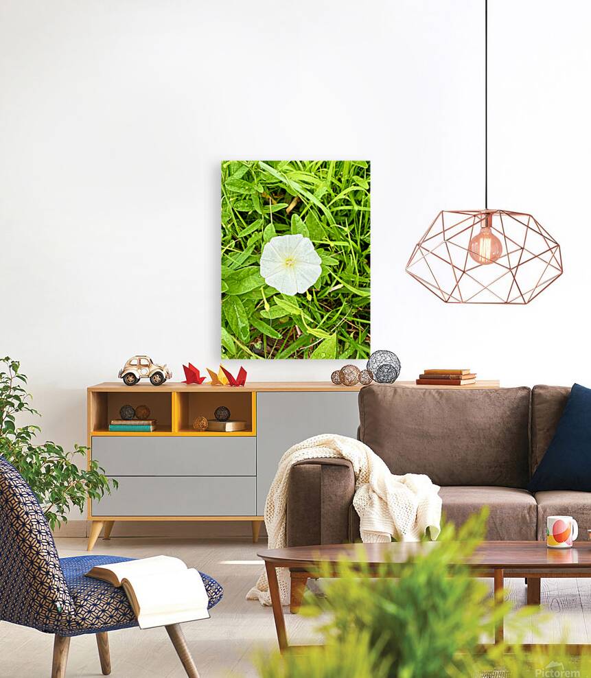 Bindweed Still Life in Nature Reproduction