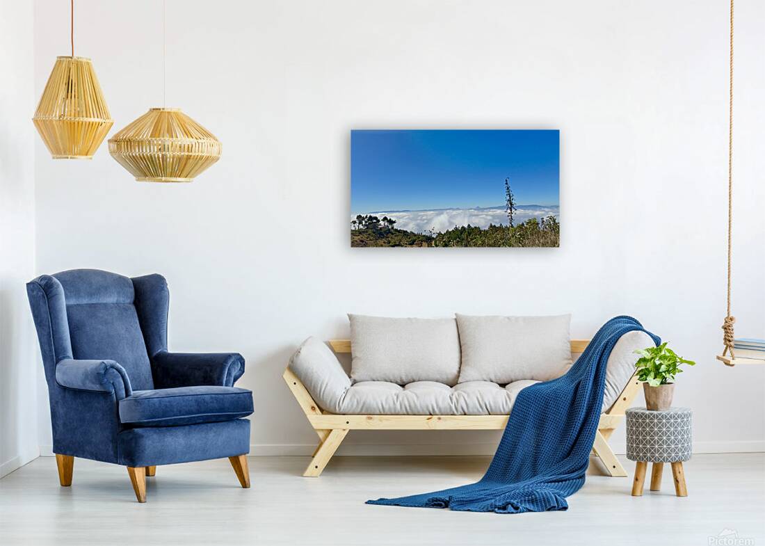 IMG 9119 Reproduction