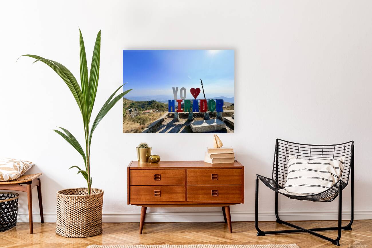 IMG 9703 Reproduction