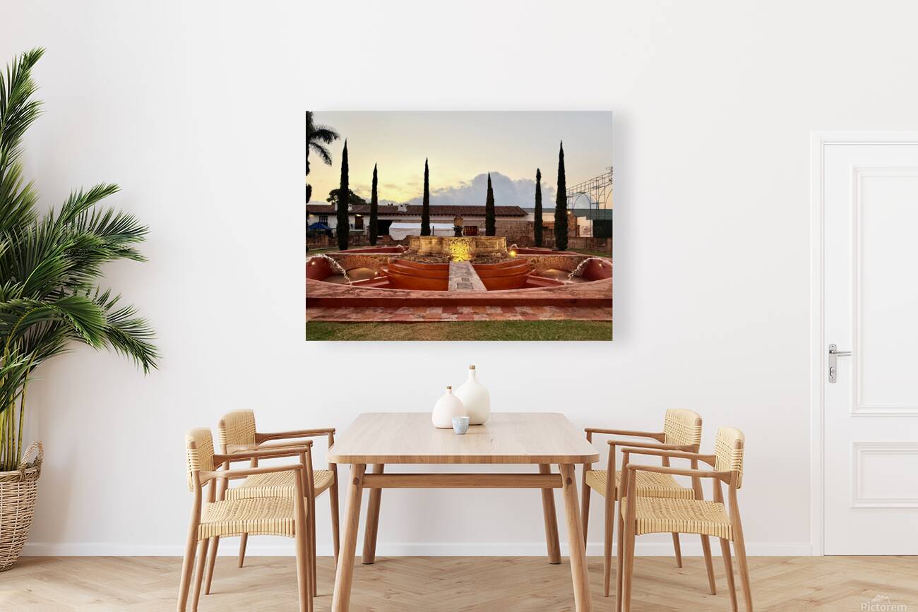 IMG 9984 Reproduction