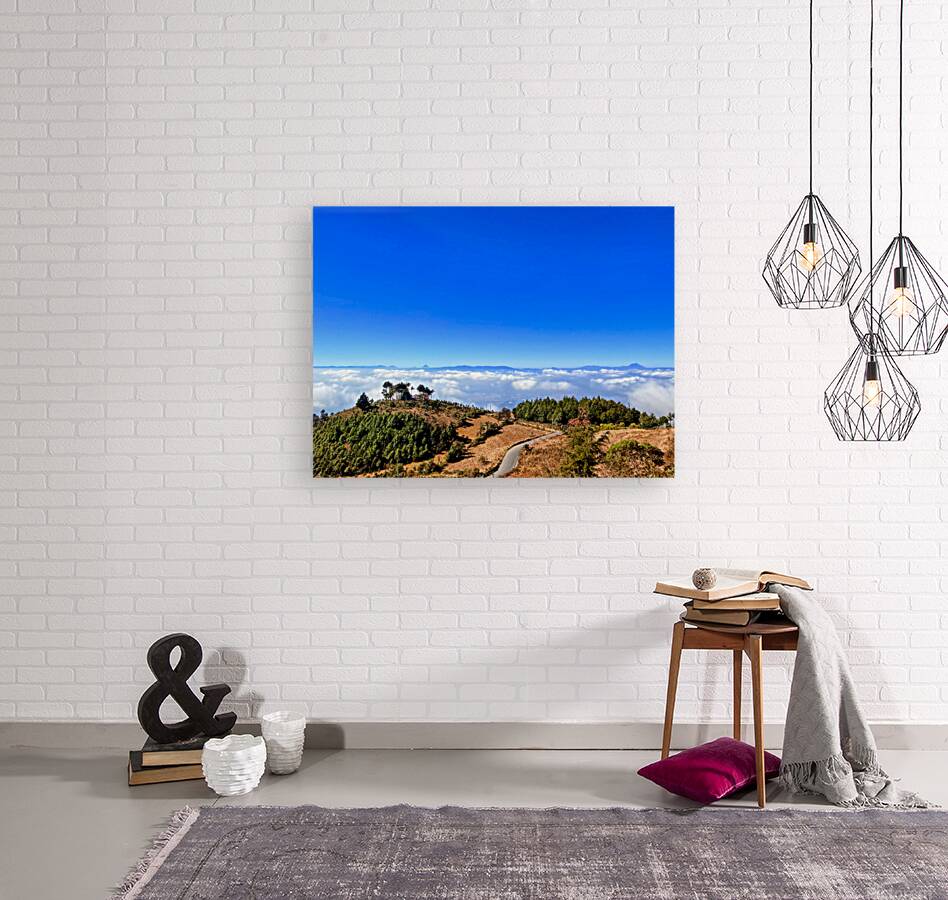 IMG 9134 EDIT Reproduction