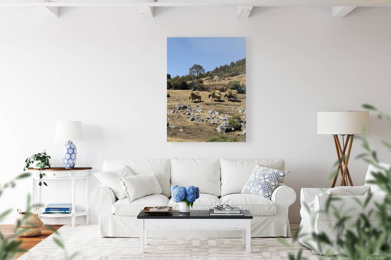 IMG 9558 Reproduction