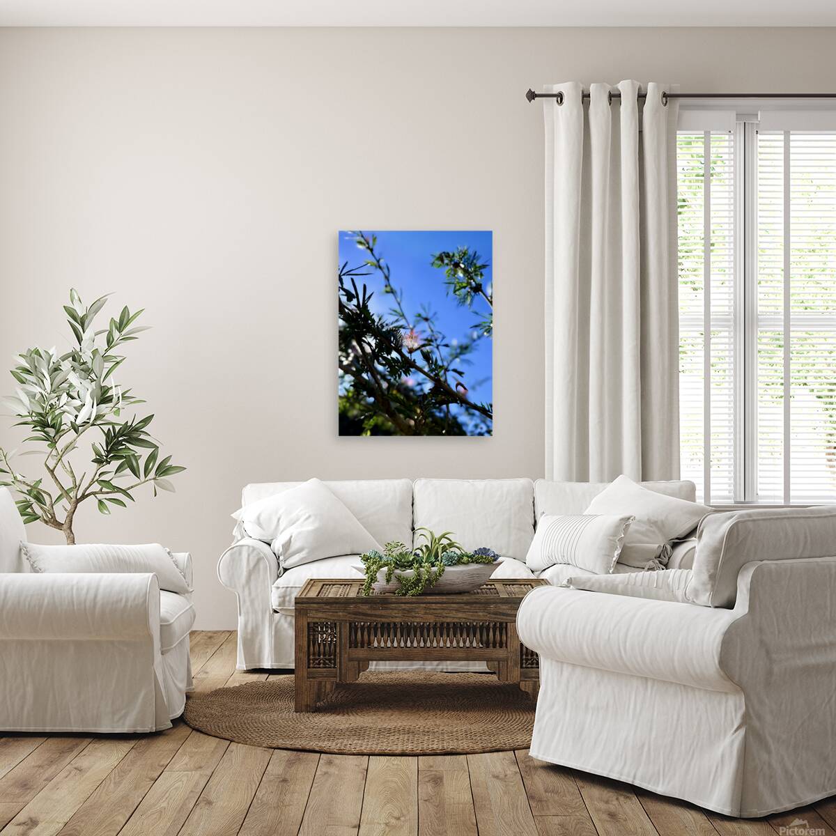 IMG 0029 Reproduction