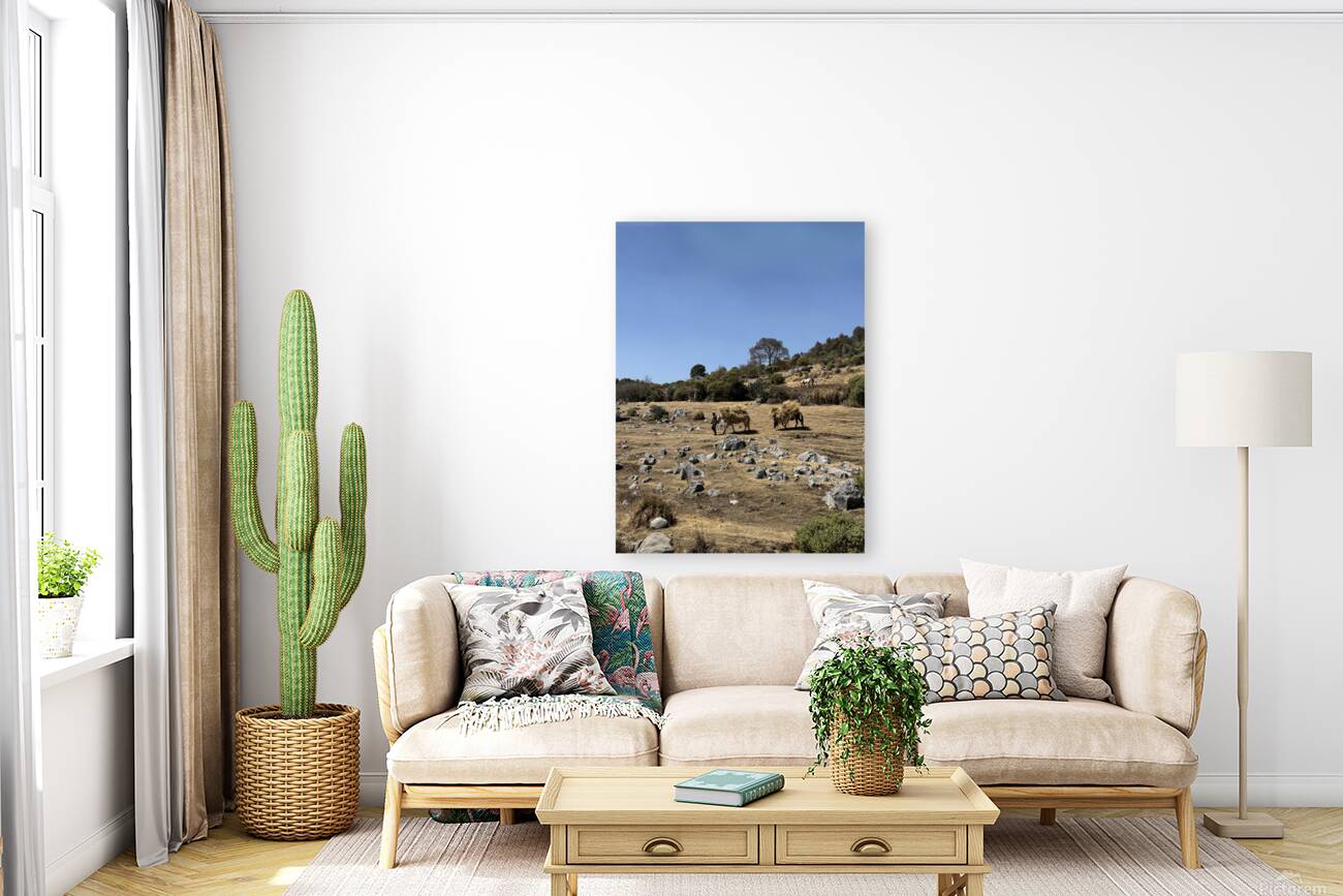 IMG 9555 Reproduction