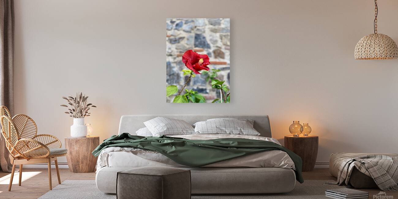 IMG 9957 Reproduction