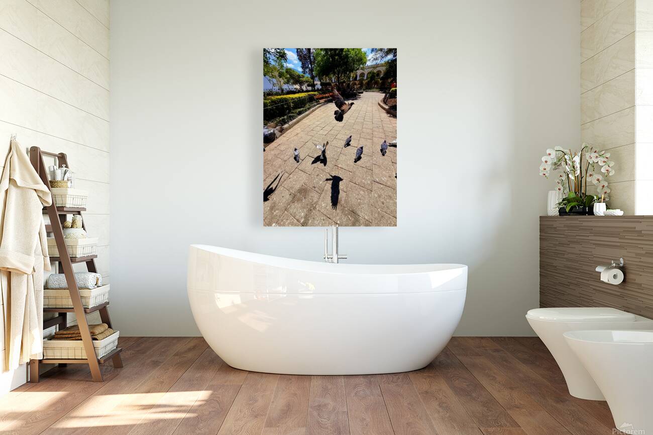 IMG 0279 Reproduction