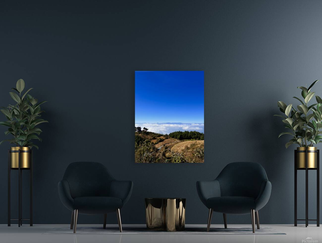 IMG 9128 Reproduction