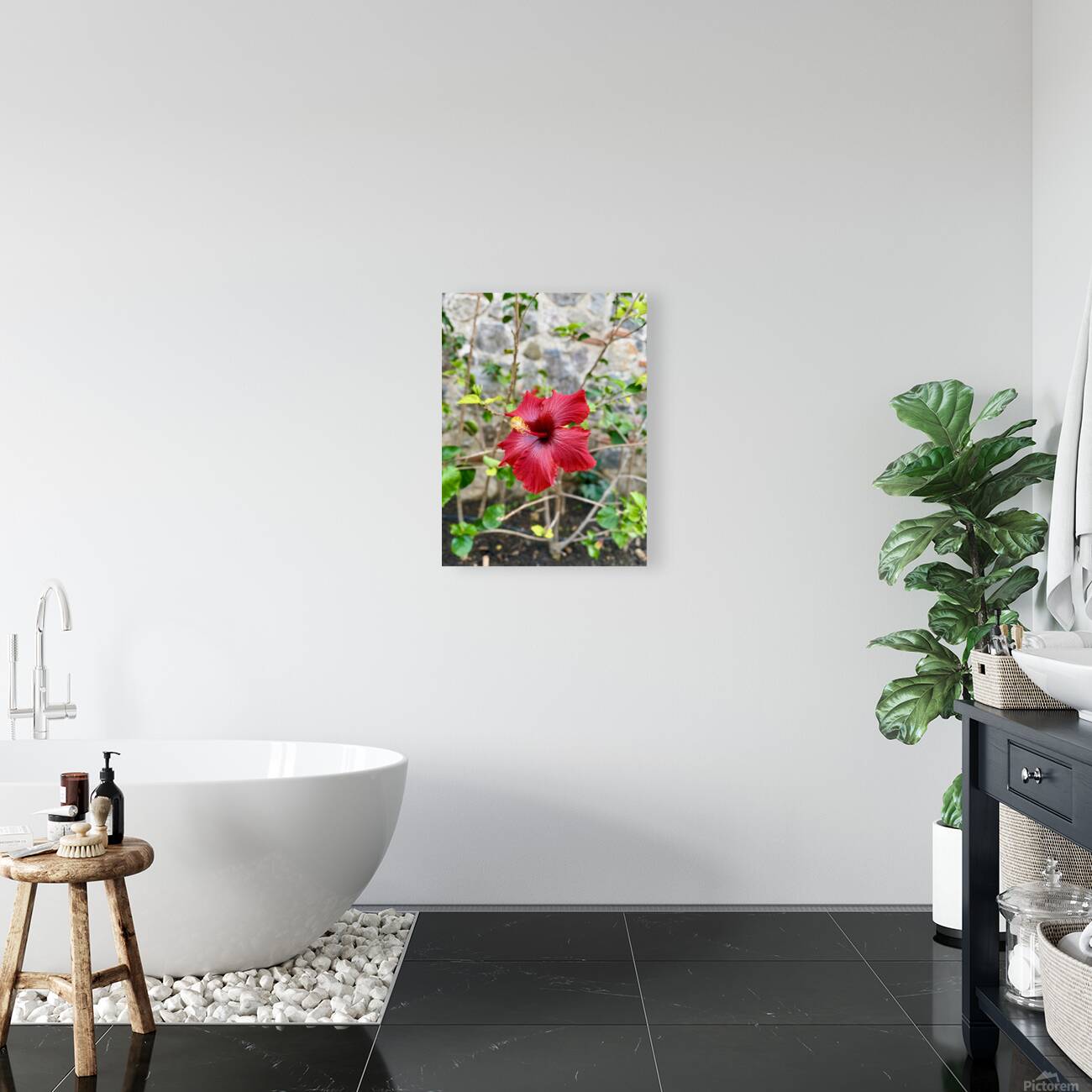 IMG 9955 Reproduction