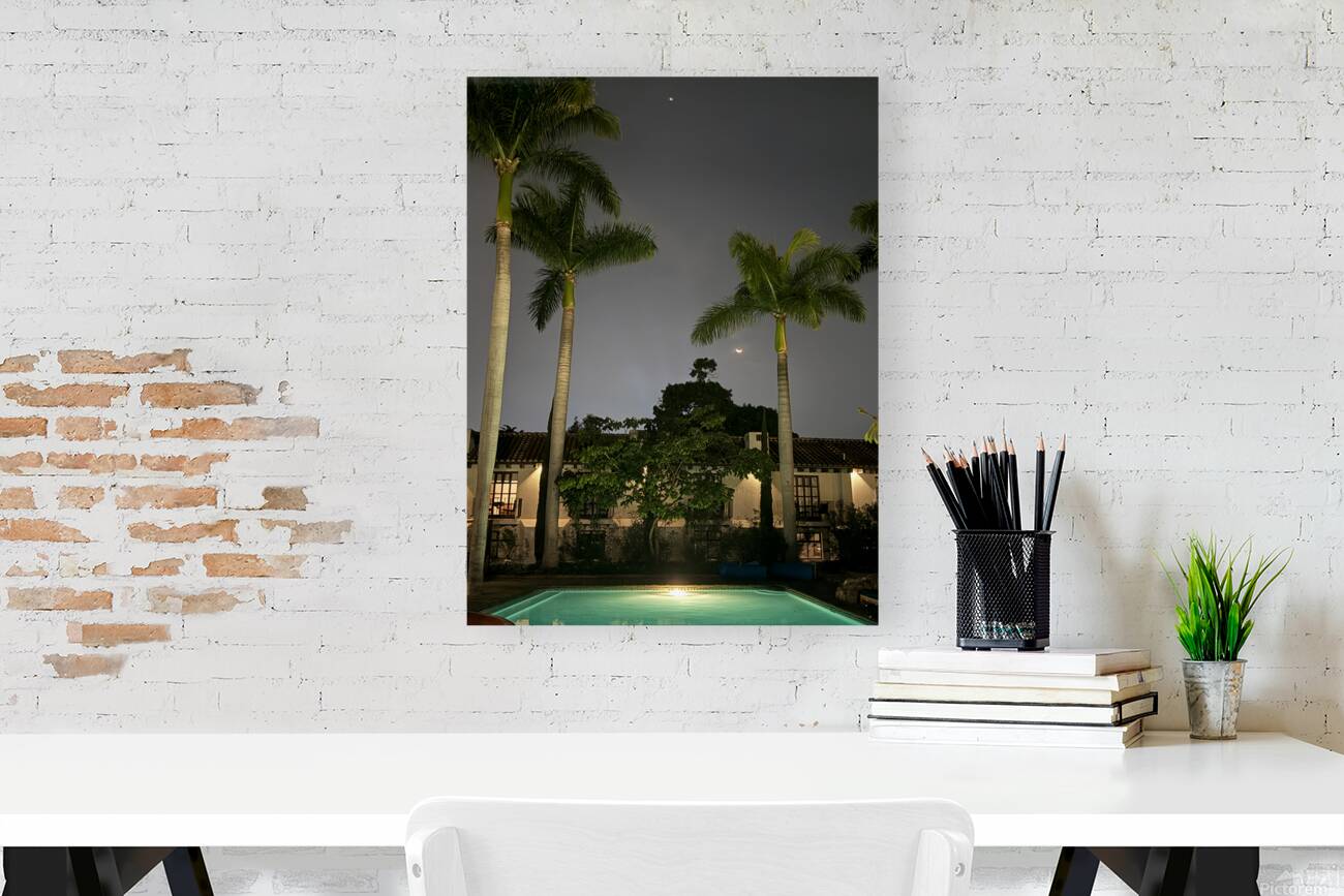 IMG 0441 Reproduction