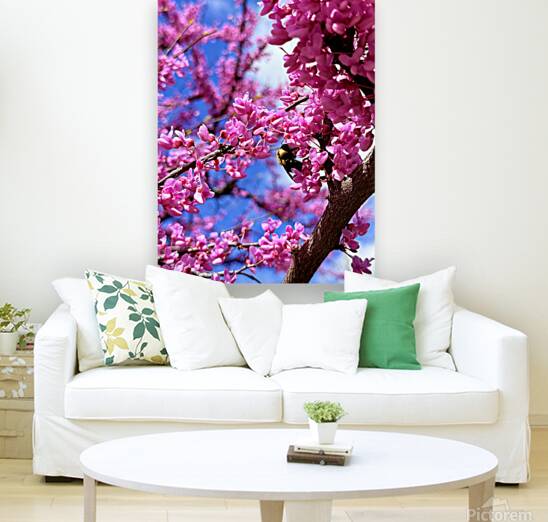 IMG 1577 Reproduction