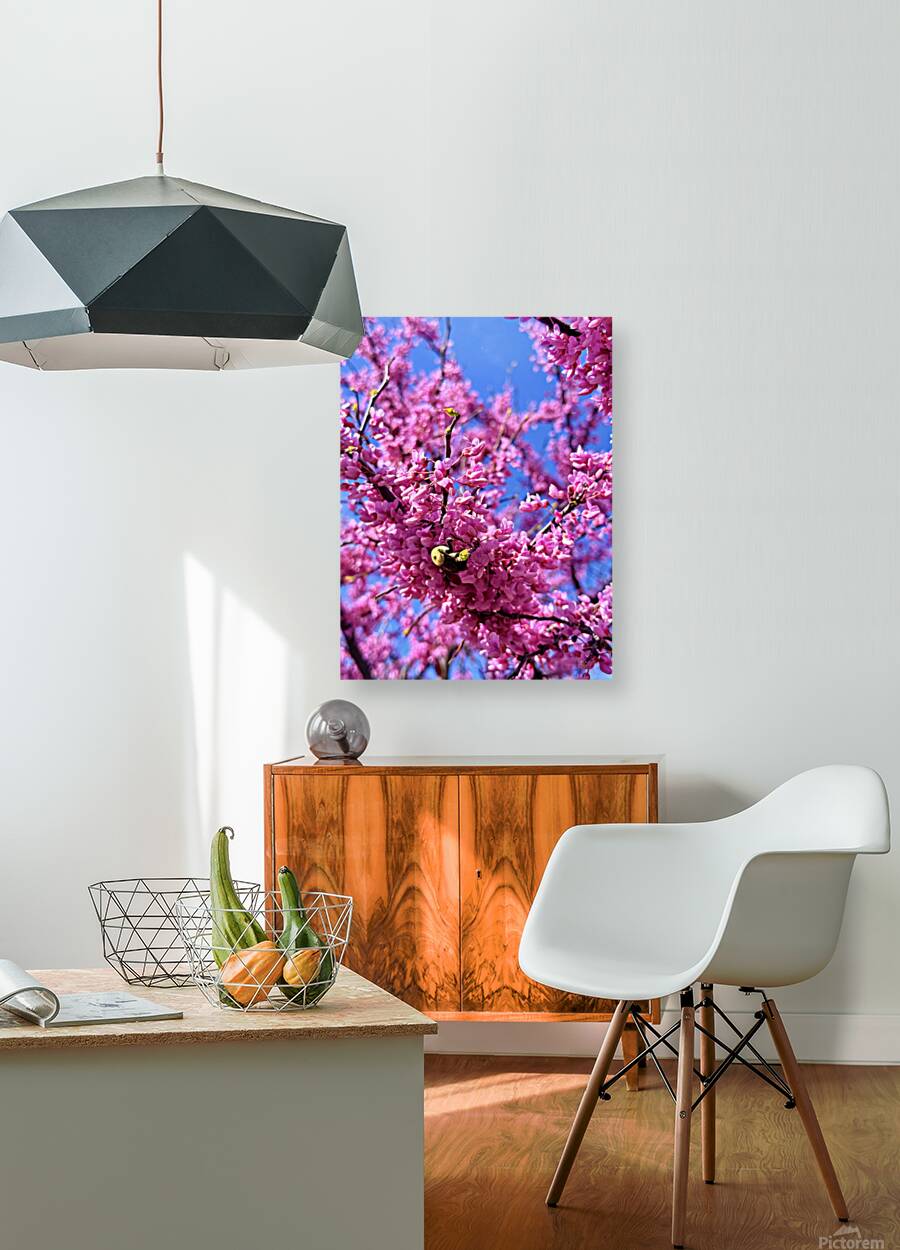 IMG 1620 Reproduction