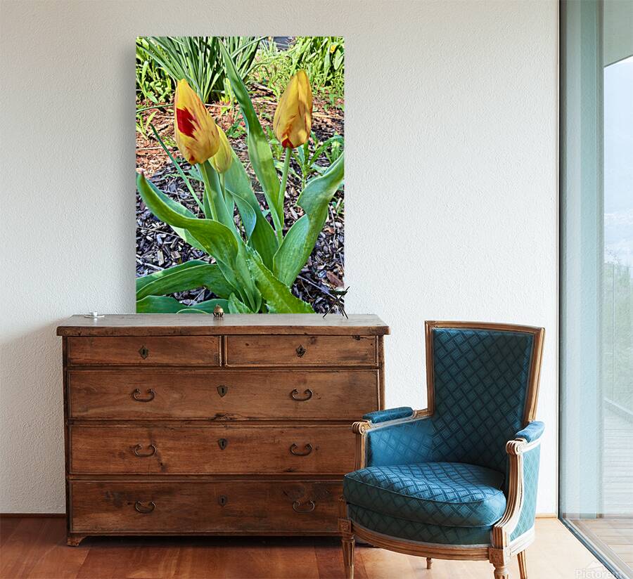 IMG 1613 Reproduction