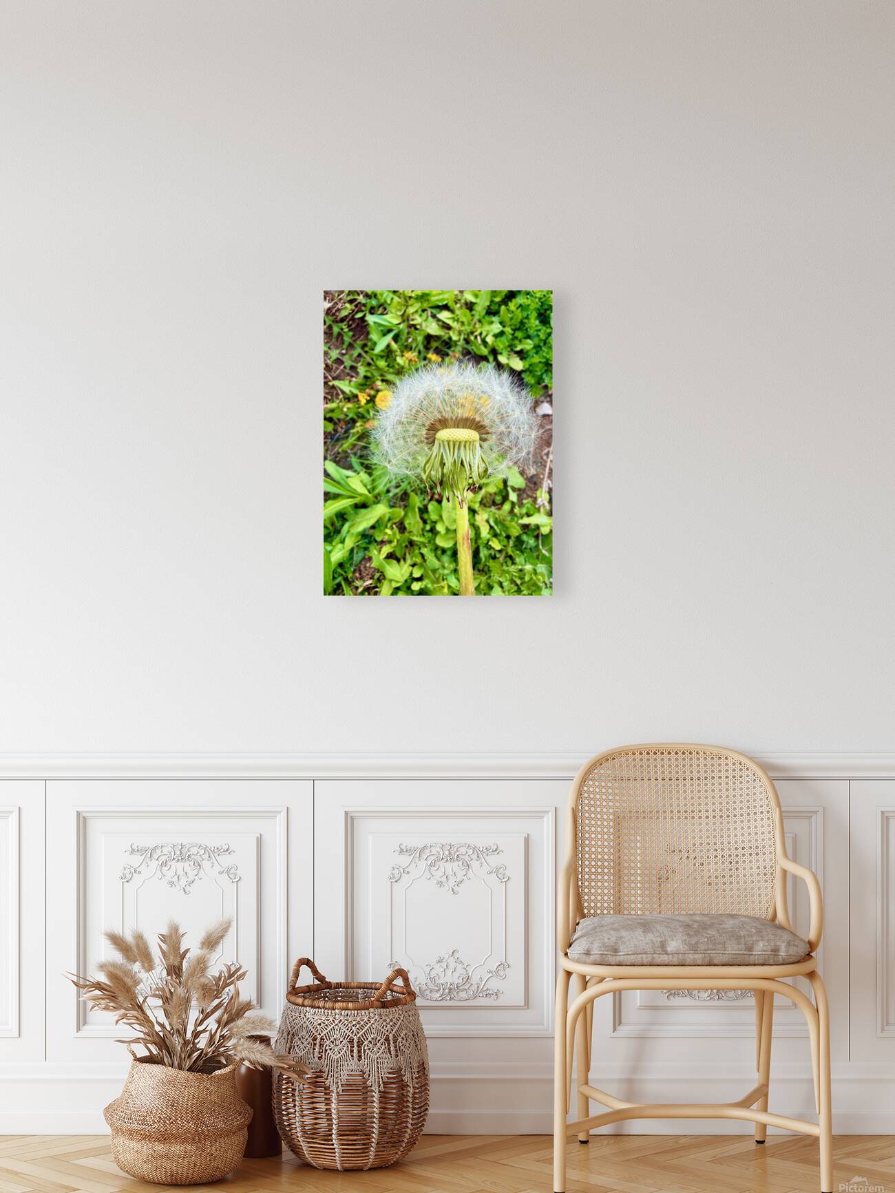 IMG 1757 Reproduction