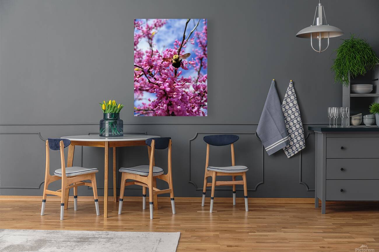 IMG 1683 Reproduction