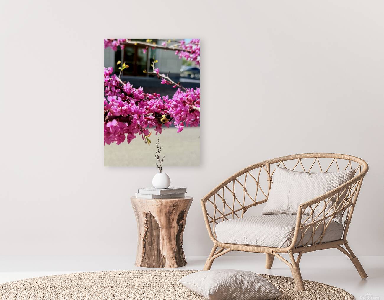 IMG 1627 Reproduction