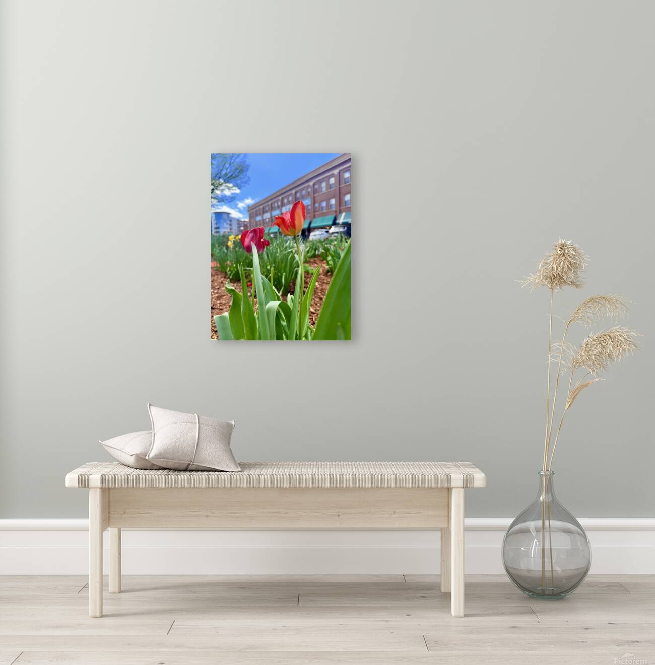 IMG 1602 Reproduction