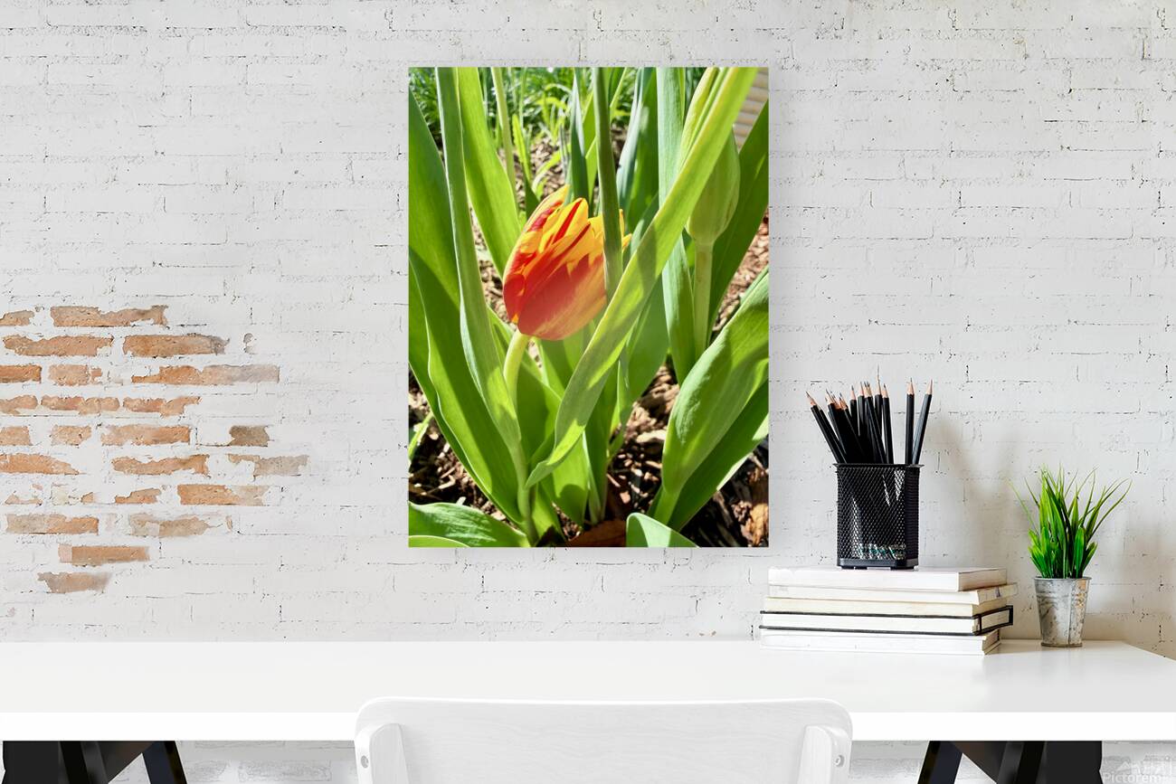 IMG 1605 Reproduction