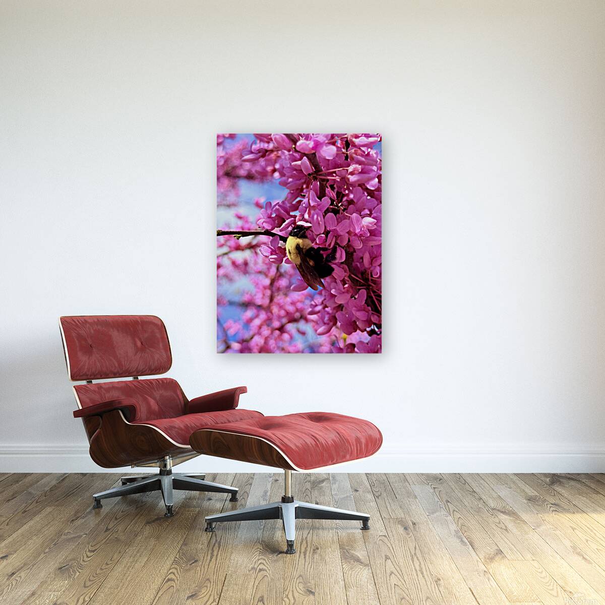 IMG 1671 Reproduction