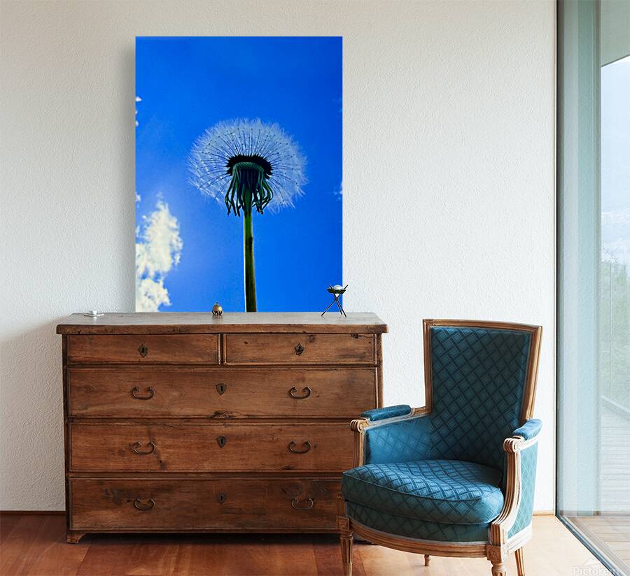 IMG 1762 Reproduction