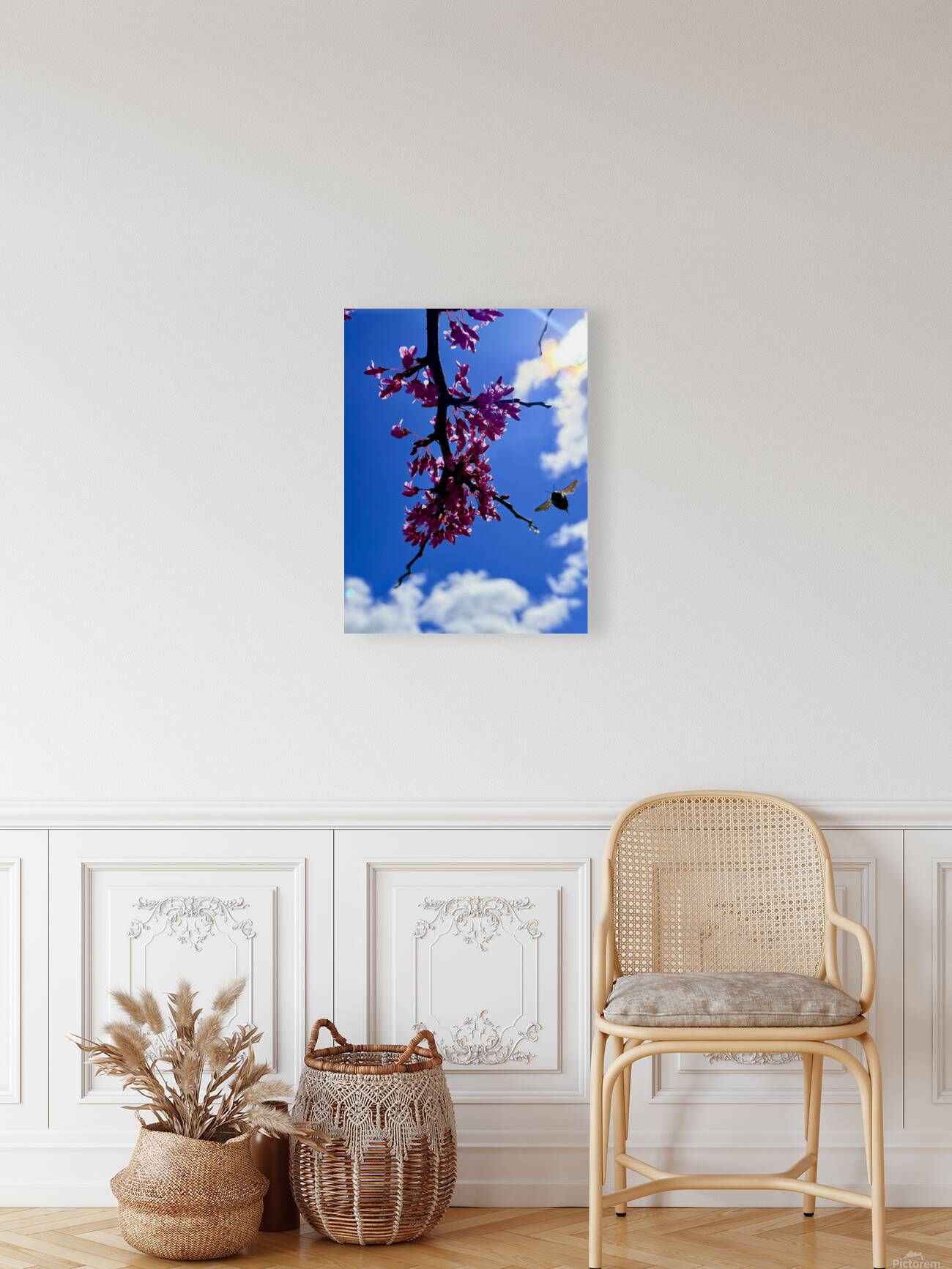 IMG 1556 Reproduction