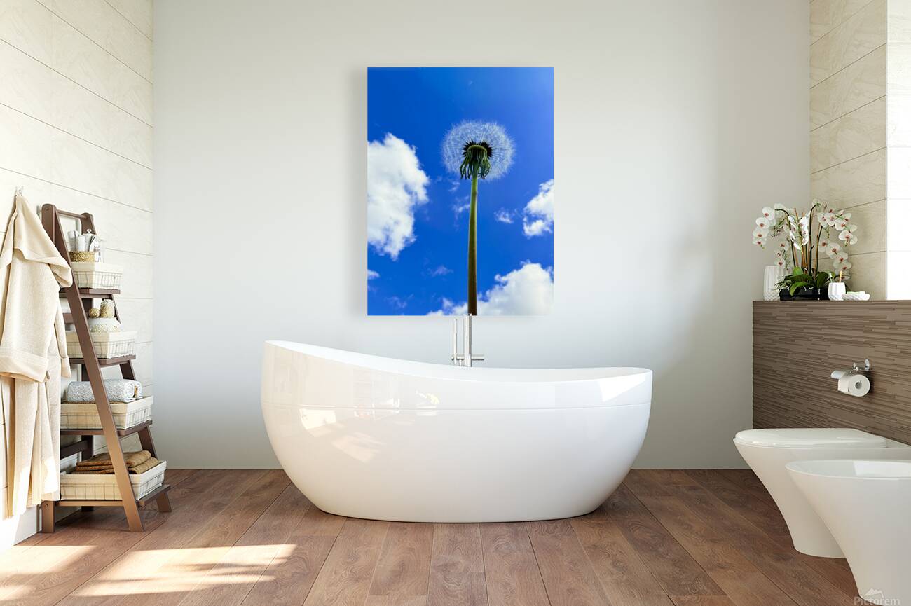 IMG 1759 Reproduction