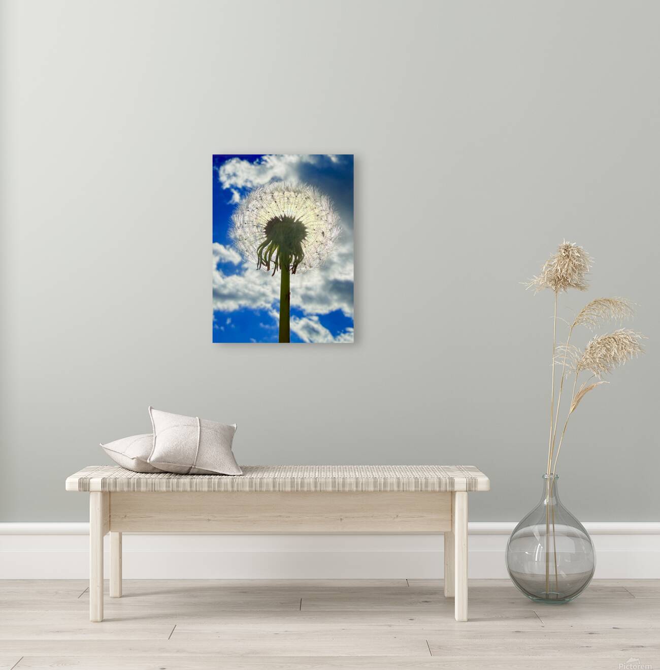 IMG 1743 Reproduction