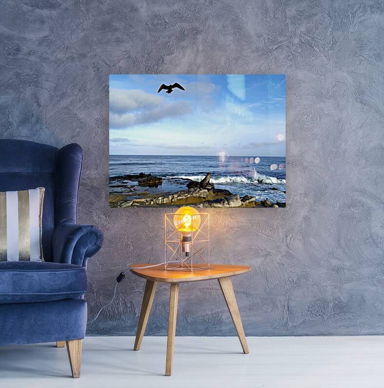 Seal Bird Watching 3 Reproduction