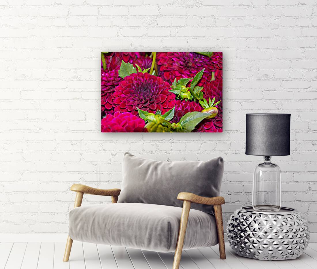 Flower Bloom 4 Reproduction