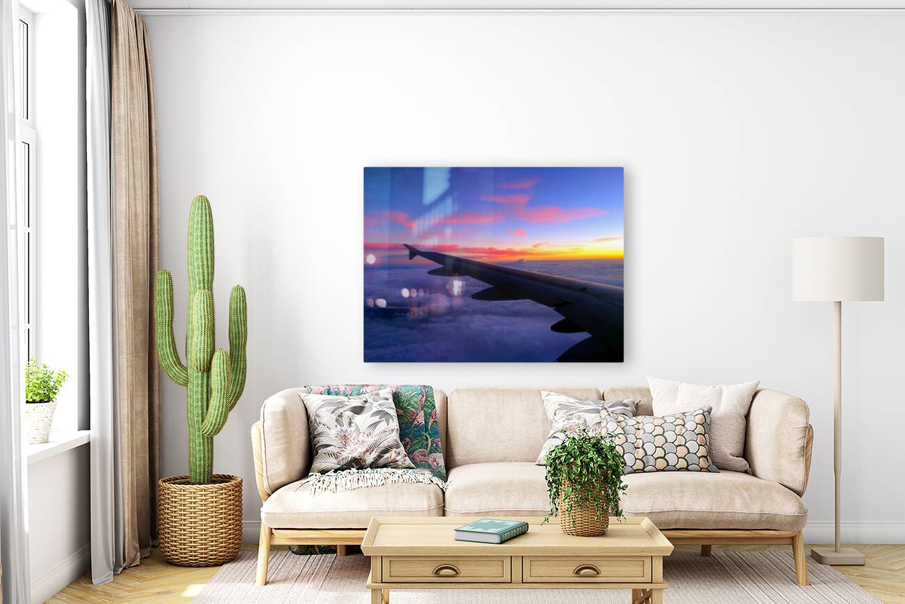 Flying into the Sunset 4 Reproduction