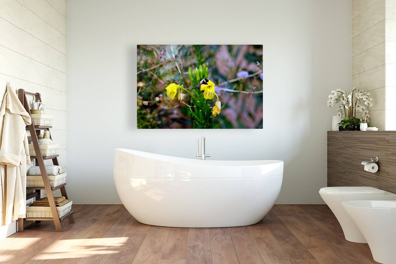 To Bee or Not to Bee  3   -- The Struggle Is Real Reproduction