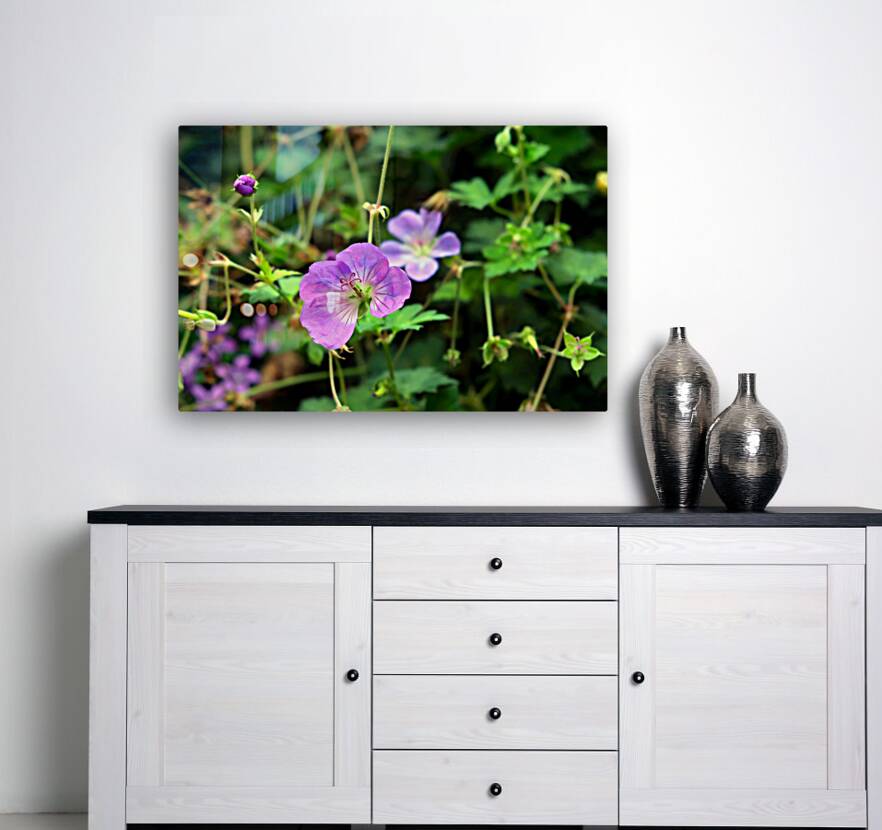 Flower Bloom 8B Reproduction